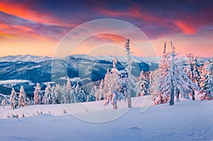 Colorful winter sunrise in the snowy mountains