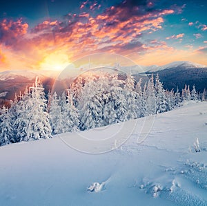 Colorful winter sunrise in the snowy mountains