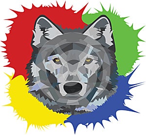 Colorful Wolf photo