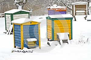 Colorful wooden beehives in winter garden on snow