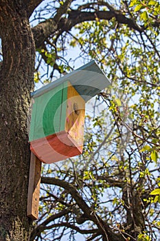 Colorful wooden birdhouse on tree. Design of nesting box. Bird shelter in spring forest. Handmade bird house.