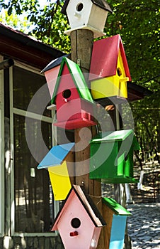 Colorful wooden birdhouses hang on wooden poles.