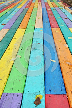 Colorful Wooden Floor Background with Autumn Leaves. In general, rainbow colors represent diversity and acceptance.