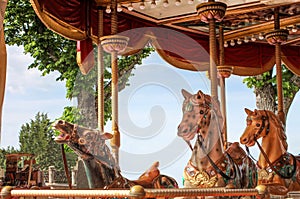 Colorful Wooden Horses of a Traditional Carousel