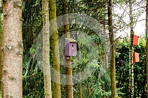 Colorful wooden nesting boxes for birds