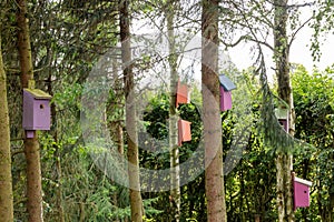 Colorful wooden nesting boxes for birds