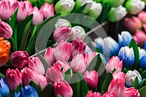 Colorful wooden souvenir tulips at a market