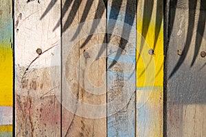 Colorful wooden surface with palm leaf shadow. Painted timber texture. Natural boho background