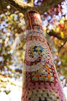 Colorful wool knitting covering a tree