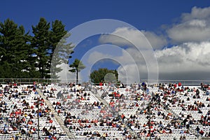 The colorful world of NASCAR 3