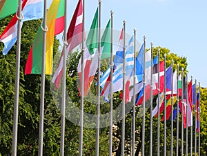 colorful world state flags in thread during international event