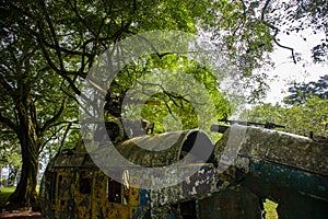 Colorful Wreckage of an old Helicopter under a tree