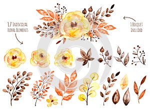 Colorful yellow floral collection with leaves and flowers,drawing watercolor.