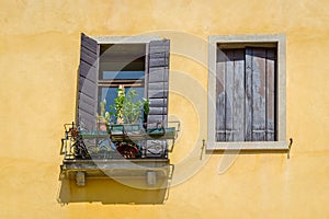 Colorful yellow house wall with windows and flower