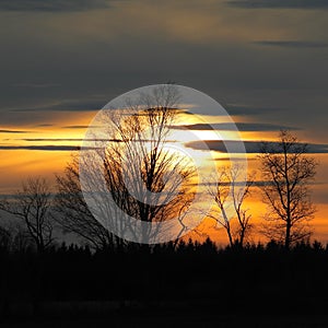 Colorful yellow orange sunset behind late winter FingerLakes tree line