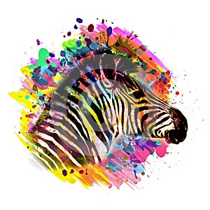 Colorful zebra artisticlion  in the jungle color art