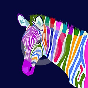 Colorful zebra concept pop art style vector