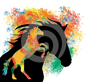 ColorfulHorse