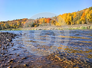 Colorfull autumn forest near the river bank