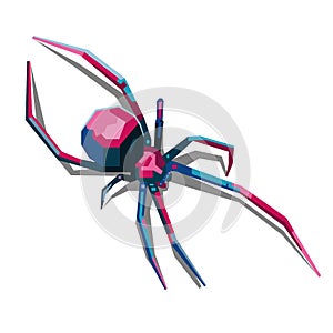 Colorfull beautifull spider vector art illustration