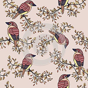 Colorfull bird background