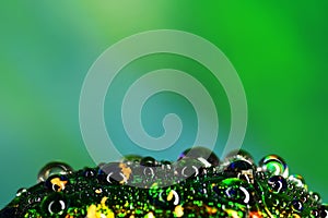 Colorfull drops on the bug