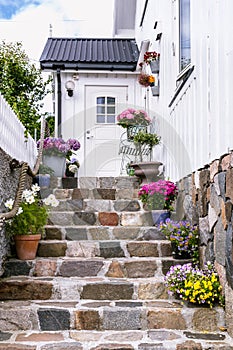 Colorfull flowers on he staircase of a white wooden house in Sca