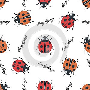 Colorfull Ladybug seamless pattern vector