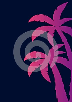 Colorfull Palms with dark background. Vector illustration. photo