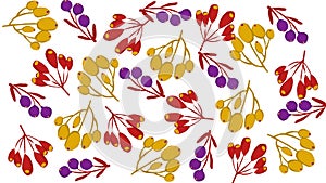 Colorfull seeds illustration on white background