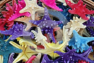 Colorfull Starfish Souvenirs