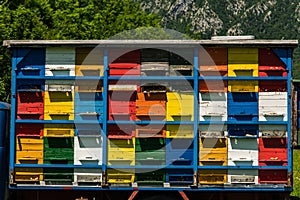 Colorfull and vibrant bee hives on old truck in Slovenia