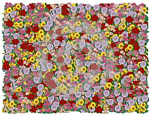 Colorific Floral background