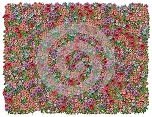 Colorific Floral background