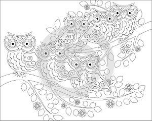 Coloring book for adult and older children. Coloring page with cute owl and floral frame