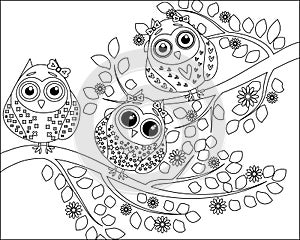 Coloring book for adult and older children. Coloring page with cute owl and floral frame. Outline drawing in zentangle style