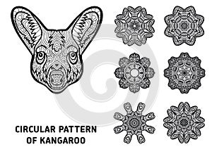 Coloring book for adults. The head of a kangaroo with patterns. Australia animals
