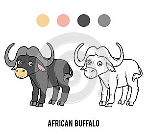 Coloring book, African buffalo