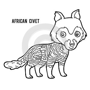 Coloring book, African civet photo