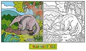 Coloring book (anteater) photo
