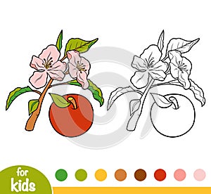 Coloring book, Apple tree branch