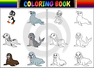 Coloring book with arctic animals collection