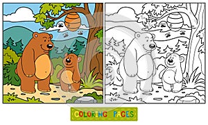 Coloring book (bears) photo