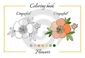 Coloring book with beautiful cinquefoil flower. Cartoon vector i