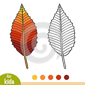 Coloring book, Beech leaf