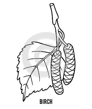 Coloring book, Birch leaf