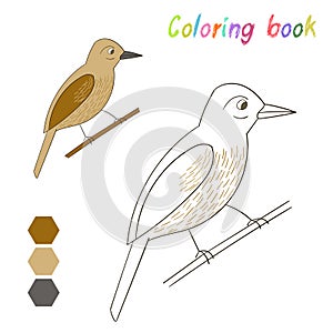 Coloring book bird xenops kids layout for game