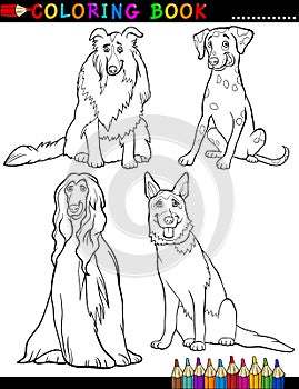 Cartoon purebred Dogs Coloring Page photo