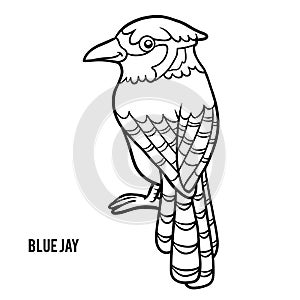 Coloring book, Blue jay