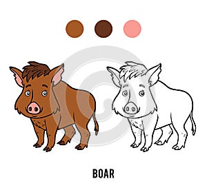 Coloring book, Boar